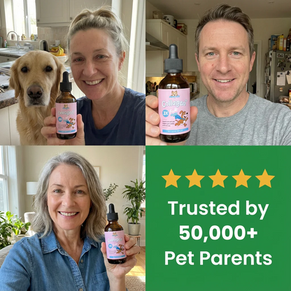 Healthy Petz® Premium Liquid Collagen