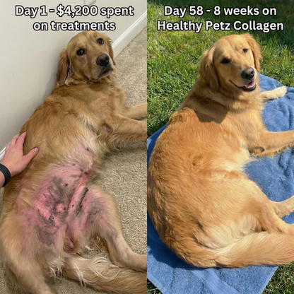 Healthy Petz® Premium Liquid Collagen