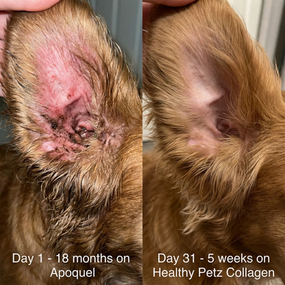 Healthy Petz® Premium Liquid Collagen